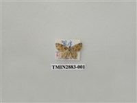 藏品(尺蛾612)的圖片